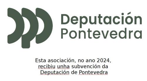 subvencion depo 2024